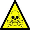 Avatar de Usuario