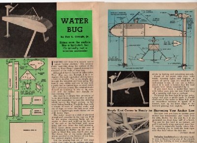 waterbug.jpg