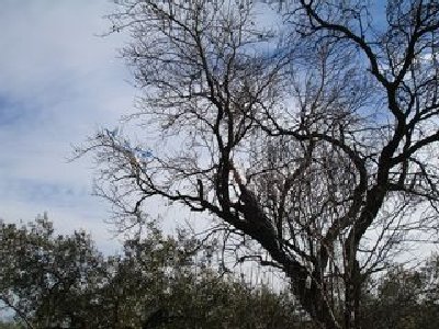 DSC07209 [320x200].JPG