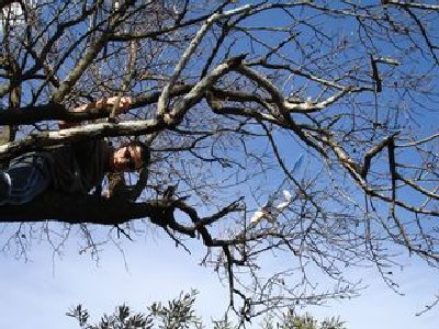 DSC07211 [320x200].JPG