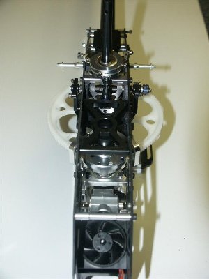 PICT0047 (Large).jpg