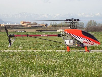 100_0147 [800x600].jpg