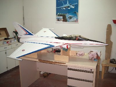HPIM0549 rafale.jpg