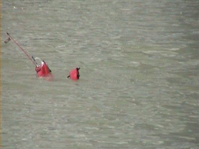 03_08_2008 12_44_0001.jpg