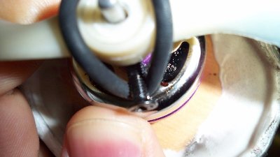 100_0424 [800x600].JPG