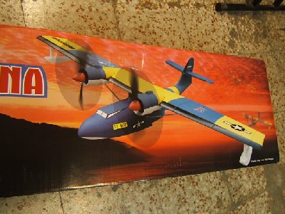 bobcat y catalina 016.JPG