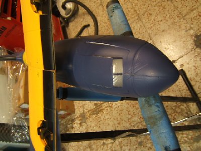 bobcat y catalina 013.JPG