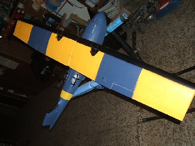 bobcat y catalina 011.JPG