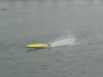 costaballena 2009 (3).jpg