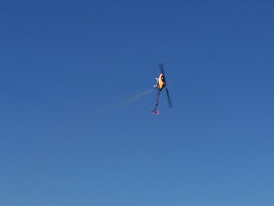 100_3557 [800x600].JPG