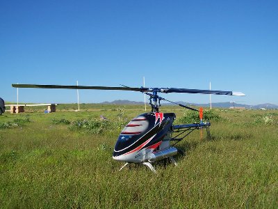 100_3521 [800x600].JPG