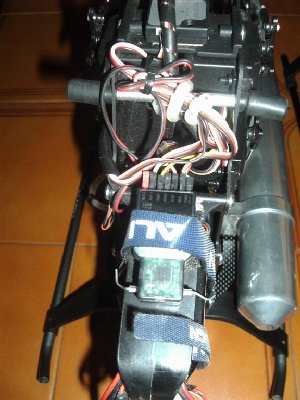 receptor (Large).JPG