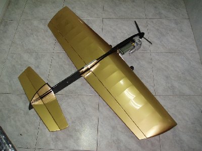 ARF Cardinal - 5.jpg