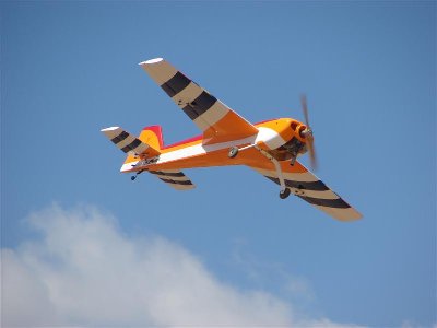 DSC05782 (Medium).JPG