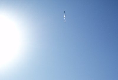 Cardinal Blanco 3.jpg