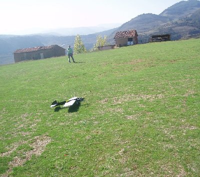 Cardinal Blanco 6.jpg