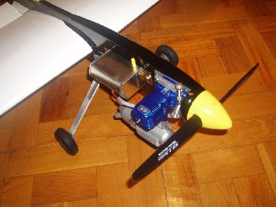 Cardinal Blanco 7.jpg