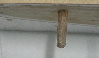 esparragos de alineacion.jpg