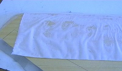 glaseando alas 2.jpg