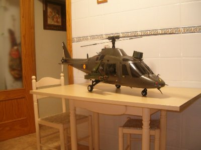 HPIM3811 [800x600].jpg