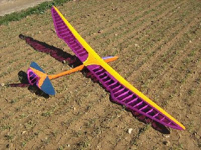 mini pajaro del tiempo 2  IMG_0641.JPG