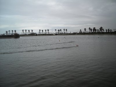 costaballena 10 026.jpg