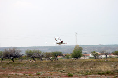 Goblin en vuelo (pasada).jpg