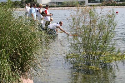 salida con ventaja.JPG