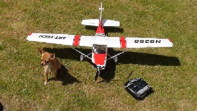 Cessna 182 500 Class.jpg