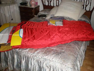 yak-54 100cc 003.jpg