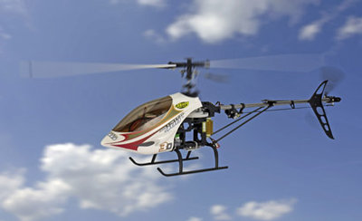 Bluster en vuelo.jpg