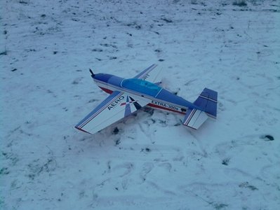 P041210_17.22_[01] (bis).jpg