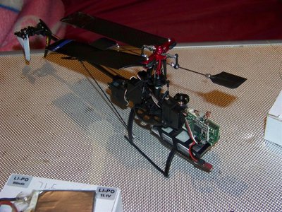 Picture 004 (Large).jpg