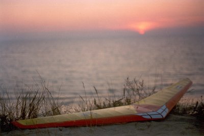 ala volante - copia.jpg