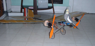 bleriot+bird.jpg