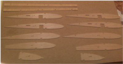 costillas centro ala.jpg