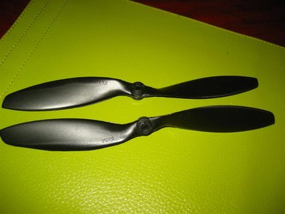 IMG_2816 (Large).JPG