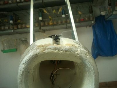 2012-04-20 16.12.49.jpg