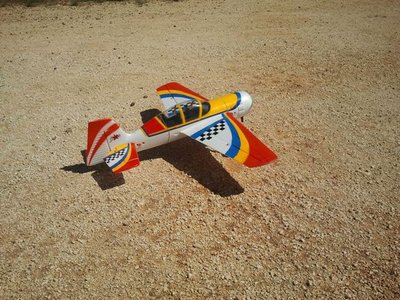 en el campo 1vuelo.jpg