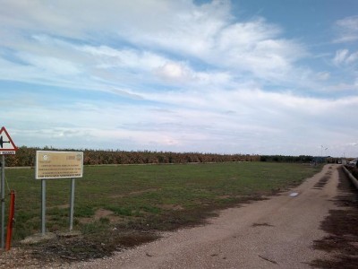 Copia de 2012-11-18-761.jpg