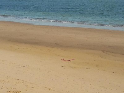 2013-03-09 18.37.17.jpg