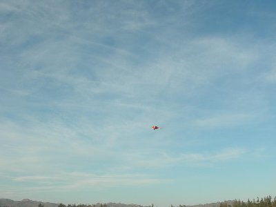 BOB CAT EN VUELO.JPG