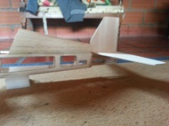 cola y medio fucelage - copia.jpg