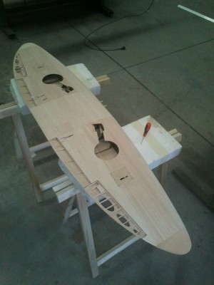 ala terminada vista inferior.jpg