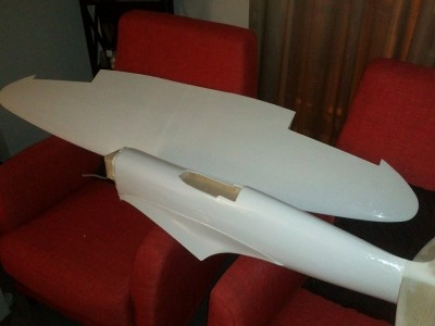 fuselaje a medio y alas enteladas.jpg