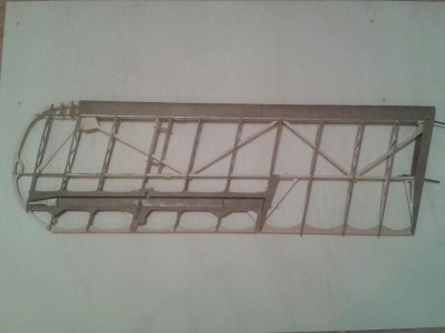 ala jungamn intradós.jpg