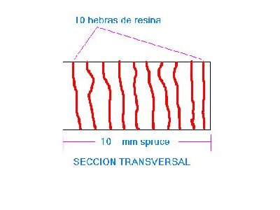 Dibujo SECCION TRANSVERSAL SPRUCE.JPG