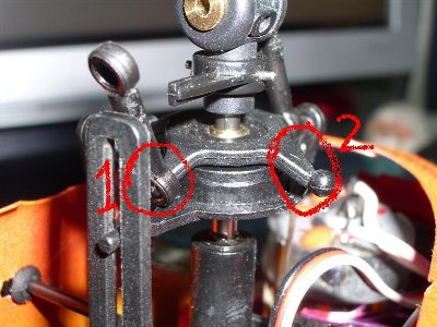 IMGP1605 (Medium).JPG