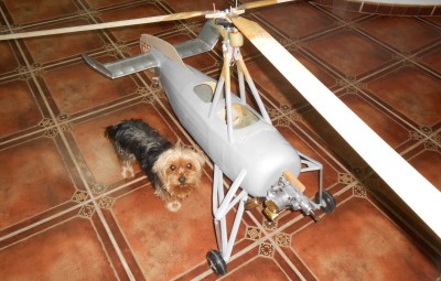 c30 con rotor y palas.JPG