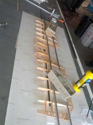 IMG_20150801_122954 (Large).jpg